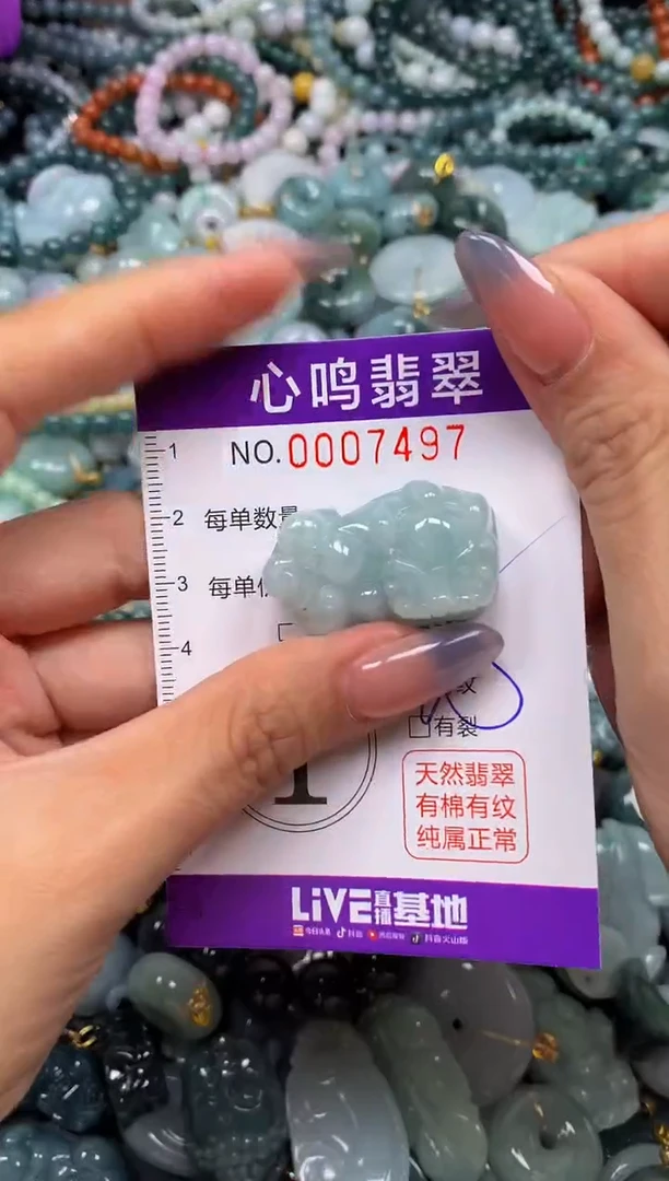 颈饰未镶嵌翡翠闪购007497