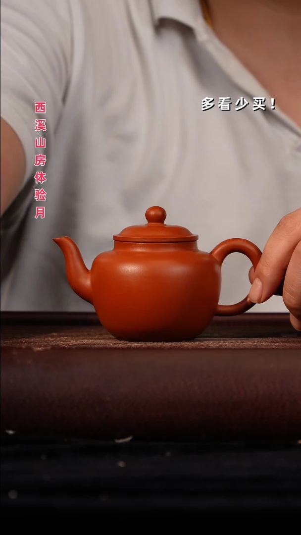 茶壶紫砂紫砂壶紫砂壶非自营