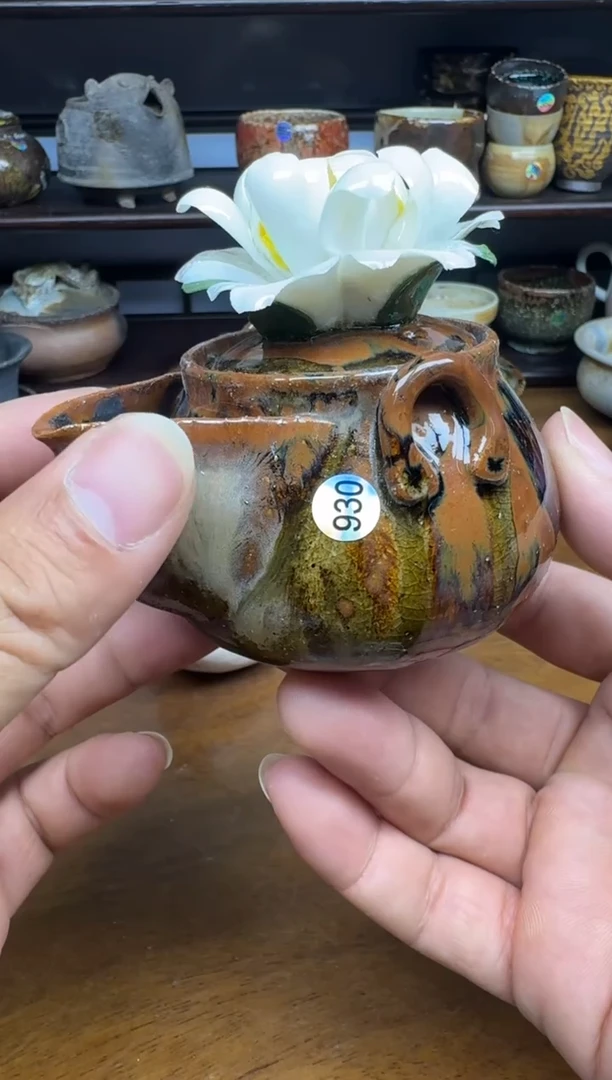 老柴叶烧不退不换930