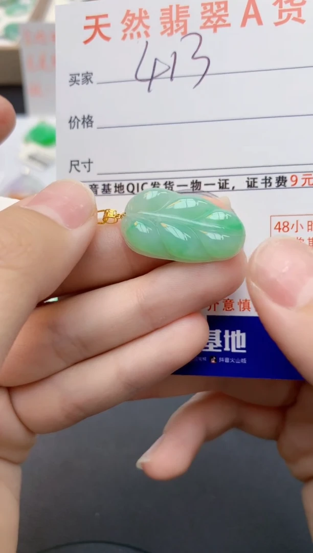 翡翠18K金镶嵌颈饰V