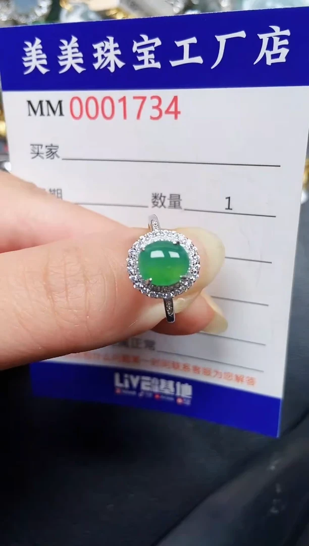 翡翠银S925镶嵌颈饰1734