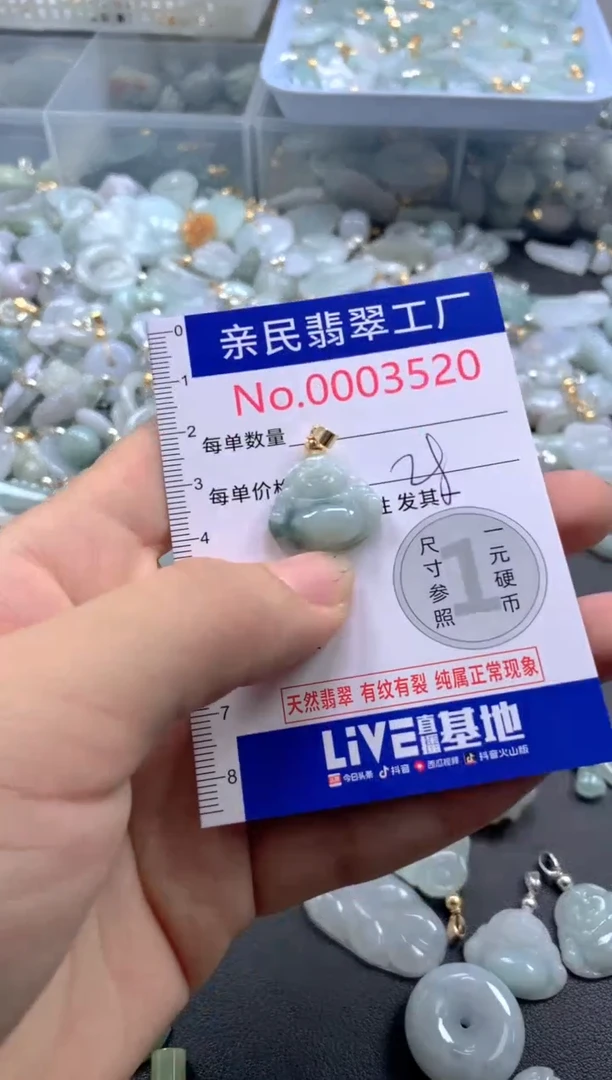 颈饰未镶嵌翡翠3520