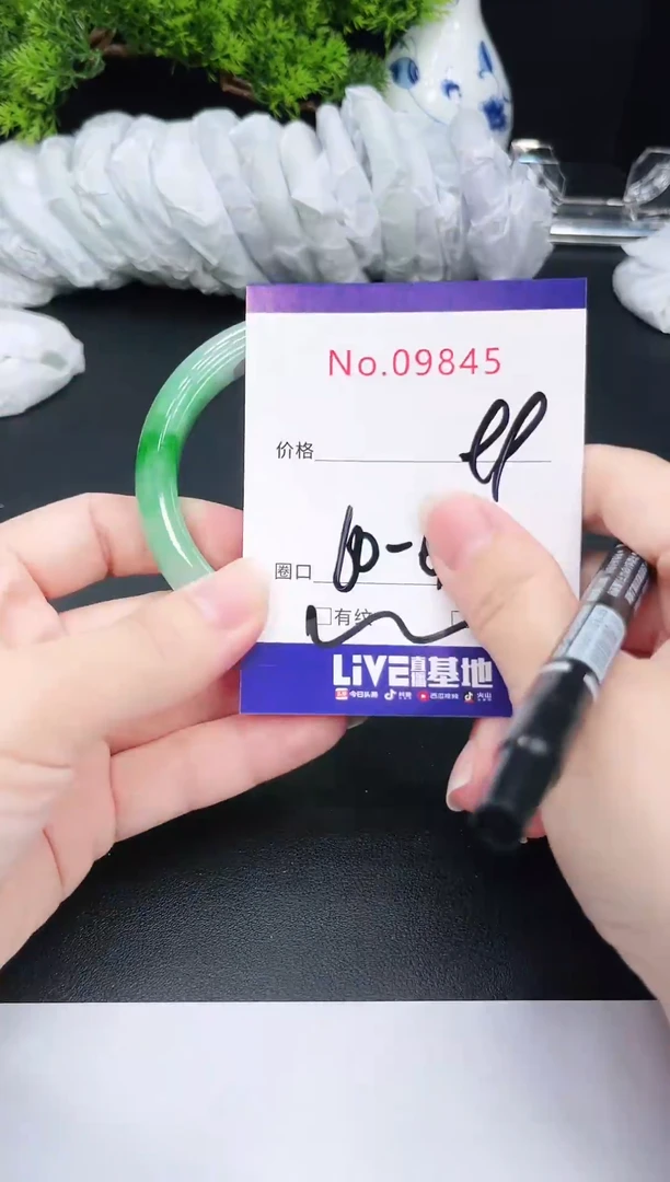 未镶嵌手镯翡翠9845