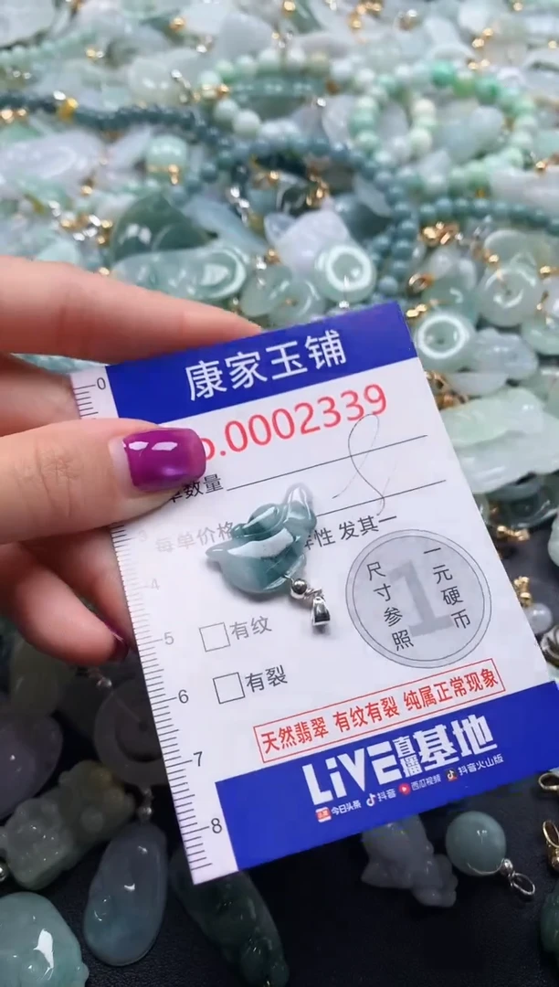 颈饰未镶嵌翡翠2339