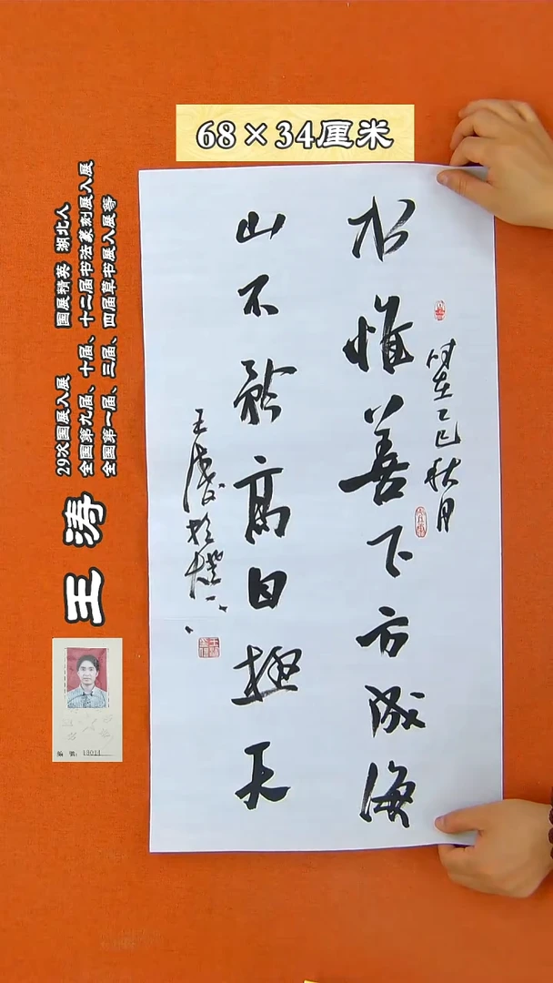 书法83R王涛书法作品