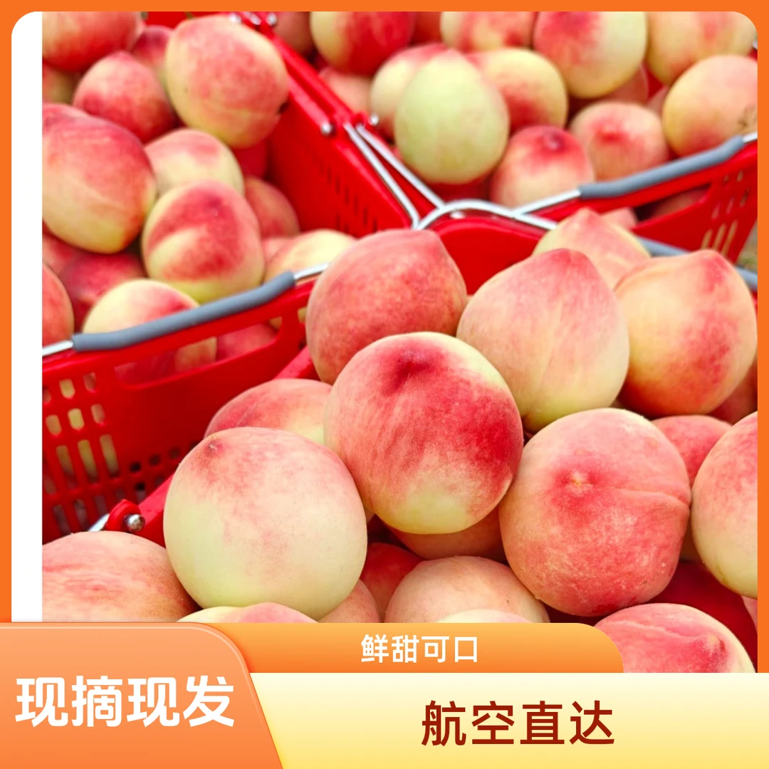 【智和专属】天秦安蜜桃北京七号脆软两吃现摘现发顺丰包邮