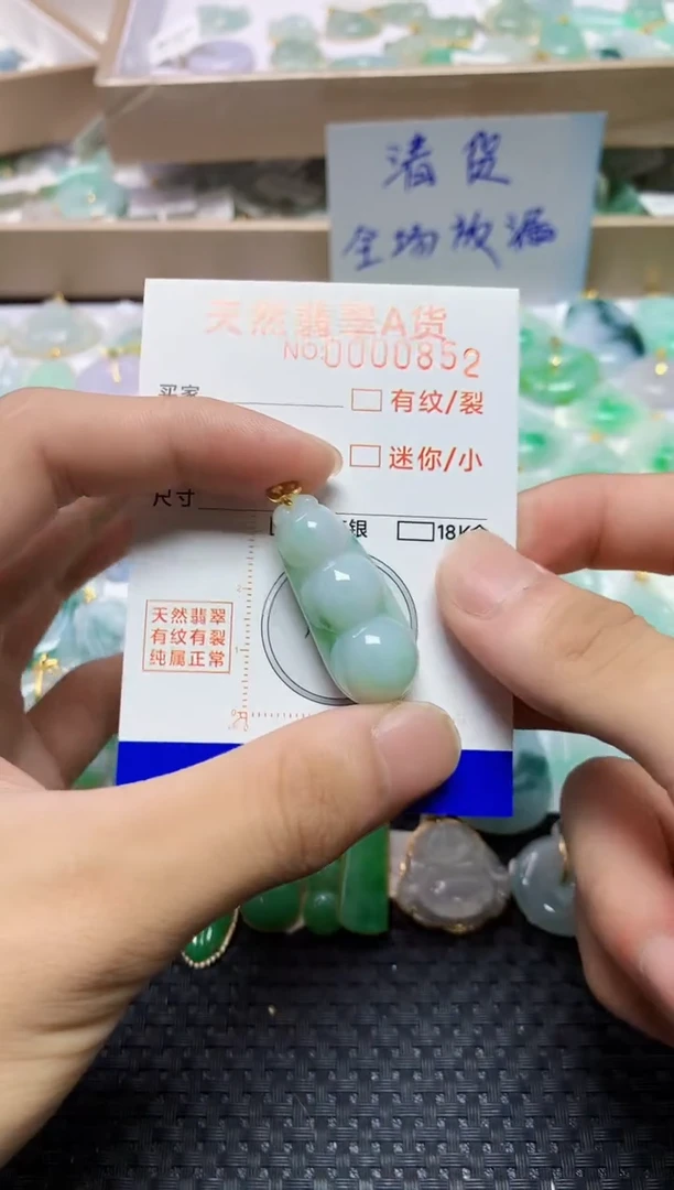 翡翠未镶嵌颈饰8645645646464