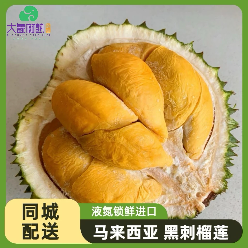 【东门2】【液氮黑刺榴莲】1.5-5kg 马来西亚黑刺鲜榴莲肉厚核小【大象树熟榴莲】黑刺马来西亚