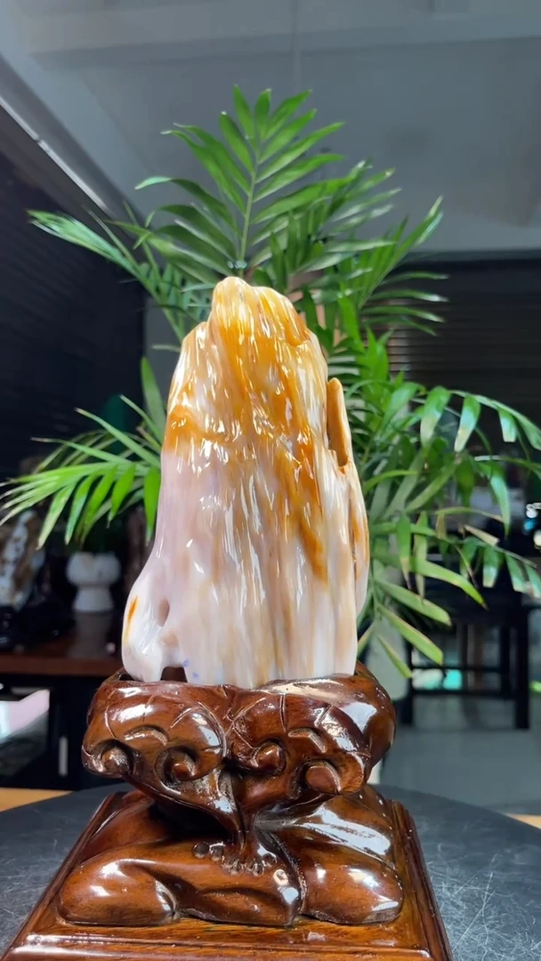 未镶嵌硅化玉（树化玉）珠宝奇石2616（高度29厘米）