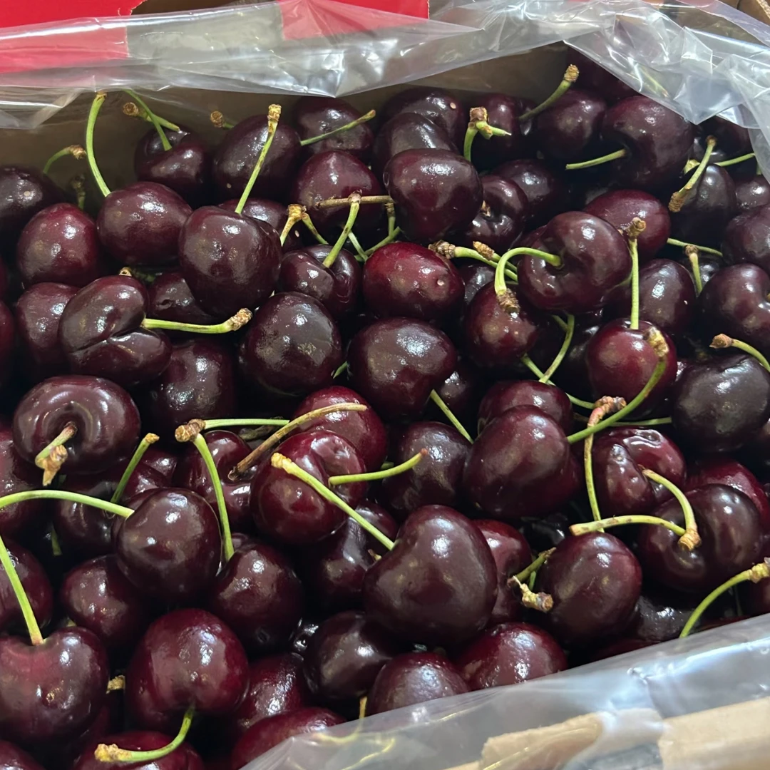 【内附果径卡尺】空运智利进口车厘子当季新鲜桑提娜3J4J原箱五斤