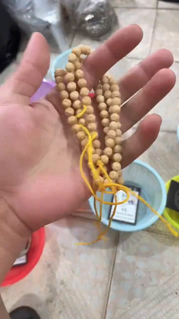 星月菩提手串海南星月菩提《Q001》7X7手持