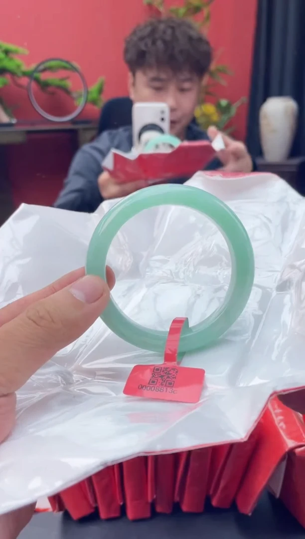 未镶嵌手镯翡翠2