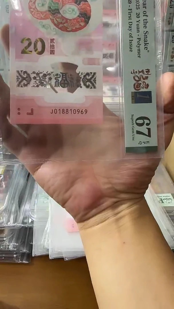 塑料018810969-蛇钞单张
