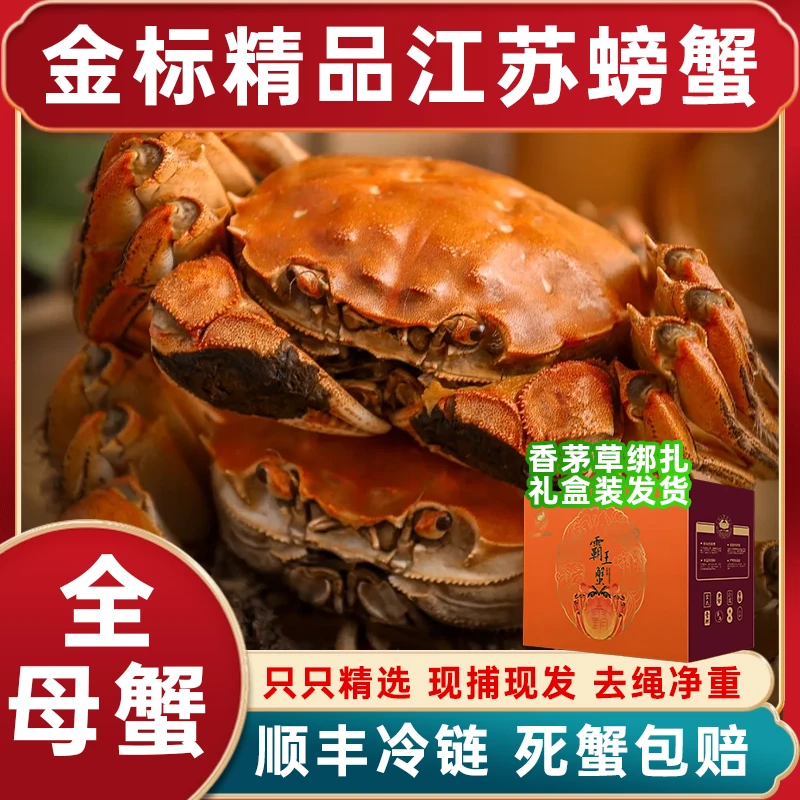 【江苏金标活蟹】全母蟹㍙8-㍚1两礼盒装活蟹现发冷链包邮8+2到手10只