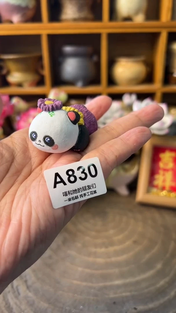 830【多肉花盆多肉盆】