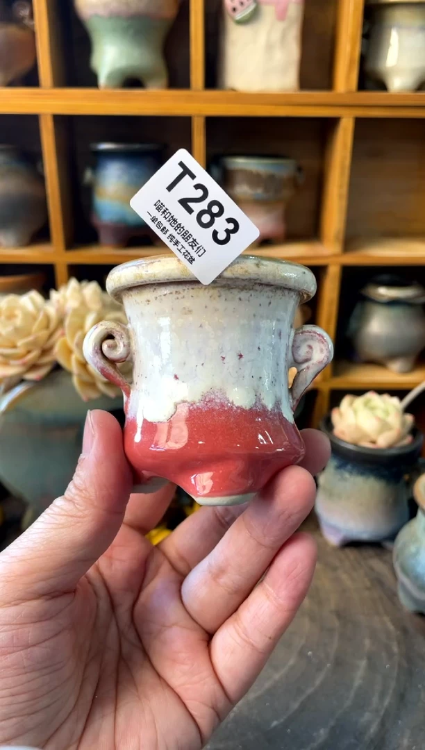 283 内口5【多肉花盆多肉盆】