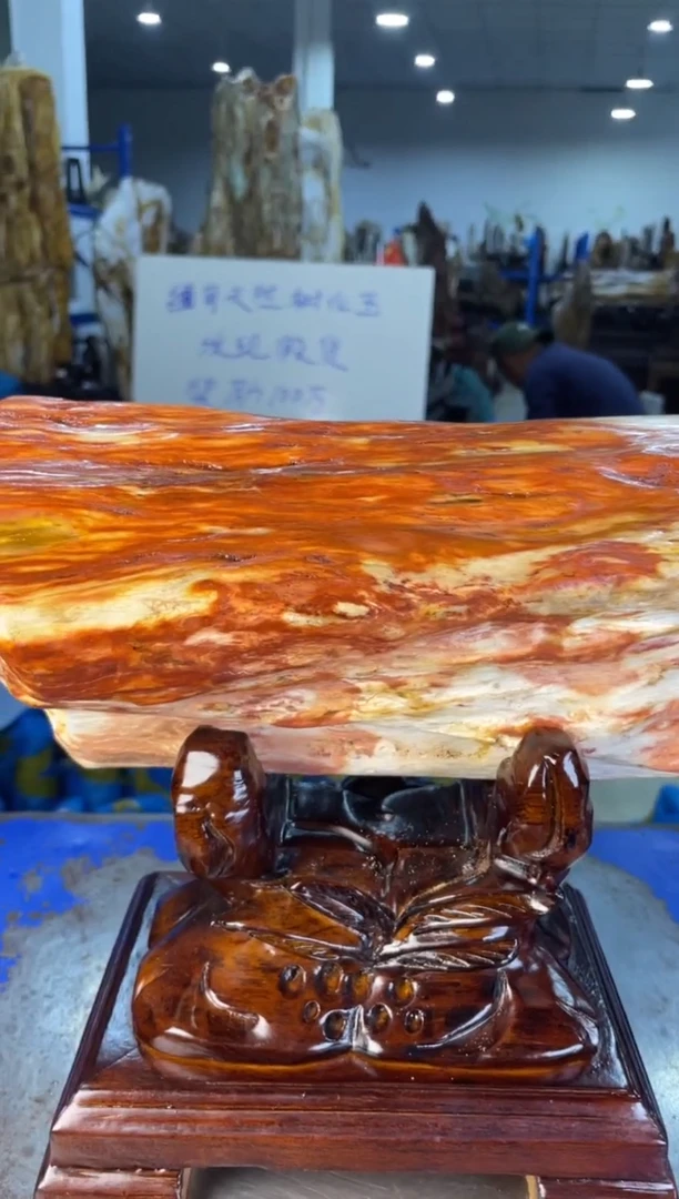 未镶嵌摆件硅化玉49