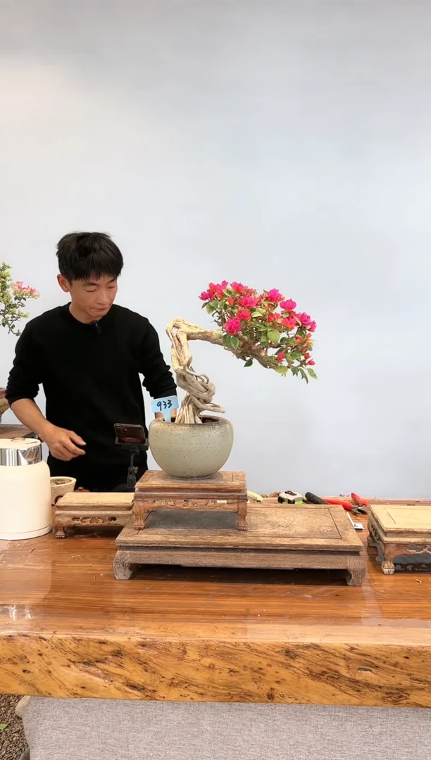 【闪购商品】aa933