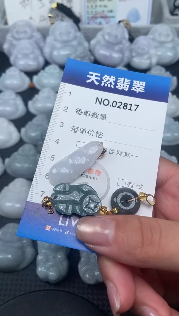 颈饰未镶嵌翡翠纯天然A货翡翠2817