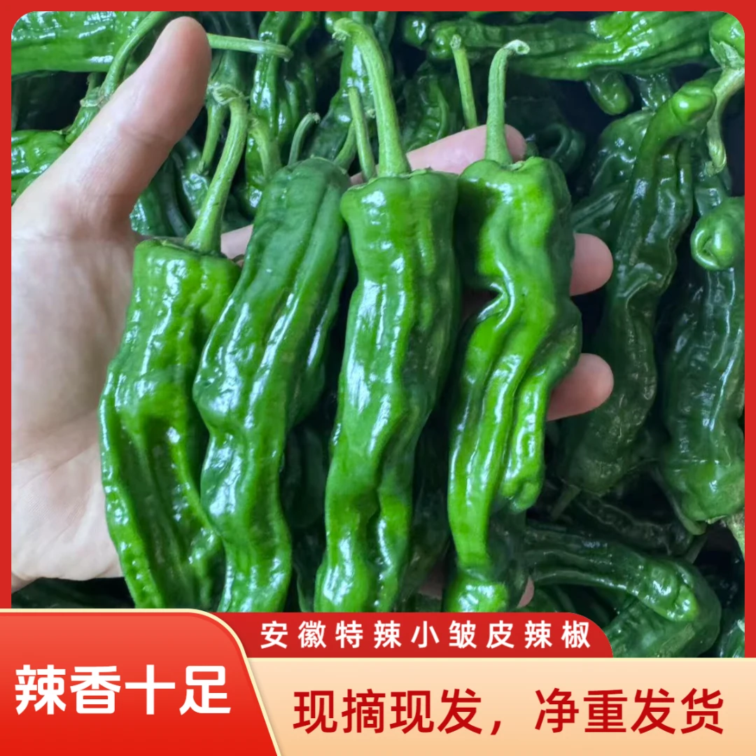 新鲜特辣香辣小皱皮薄皮超辣青椒当季农家自种