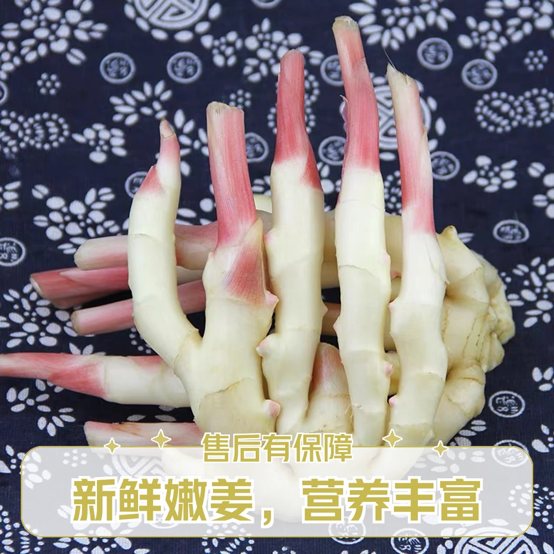新鲜仔姜250g/500g/1000g