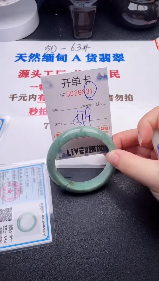 未镶嵌手镯翡翠31