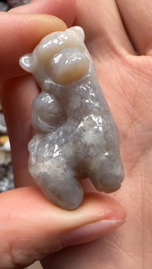 【闪购商品】硅化珊瑚（珊瑚玉）颈饰未镶嵌100