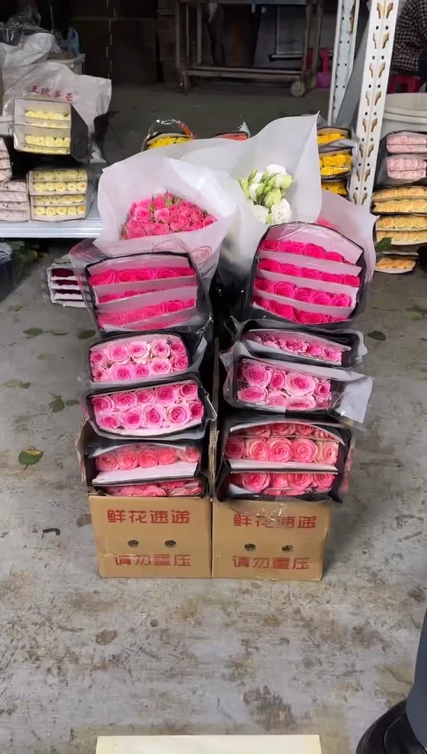 艾沙20枝+洛神20枝+佛洛依德20枝+苏菲10枝+白色洋桔梗400克