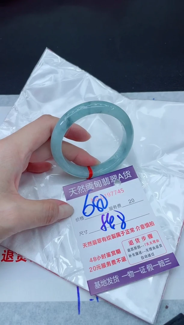 未镶嵌手镯翡翠680.00