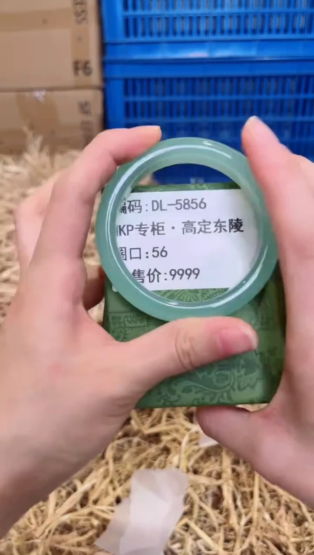 未镶嵌手镯石英质玉DL-5856