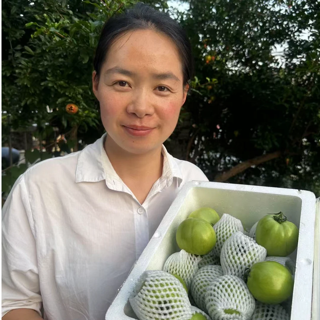 当季现摘青西红柿未成熟西红柿青番茄绿皮番茄当季绿色蔬菜