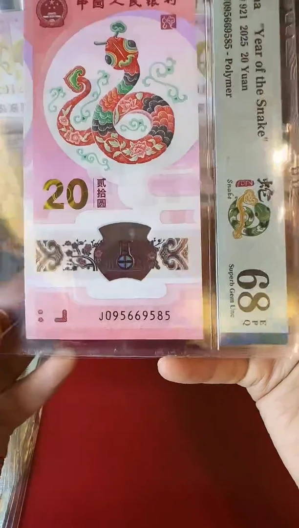 塑料2025 蛇钞 单张 095669585