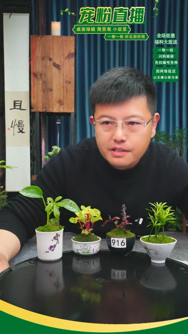 无花朵心*好苔藓微景观916号