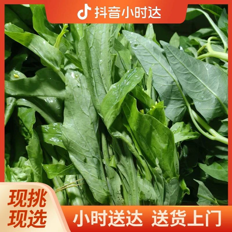 菜苔 500g