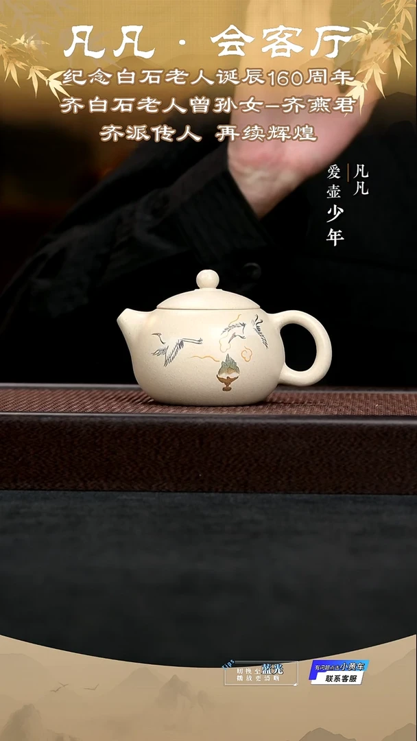 茶壶紫砂凡凡会客厅 紫砂壶08 西施白玉段280cc