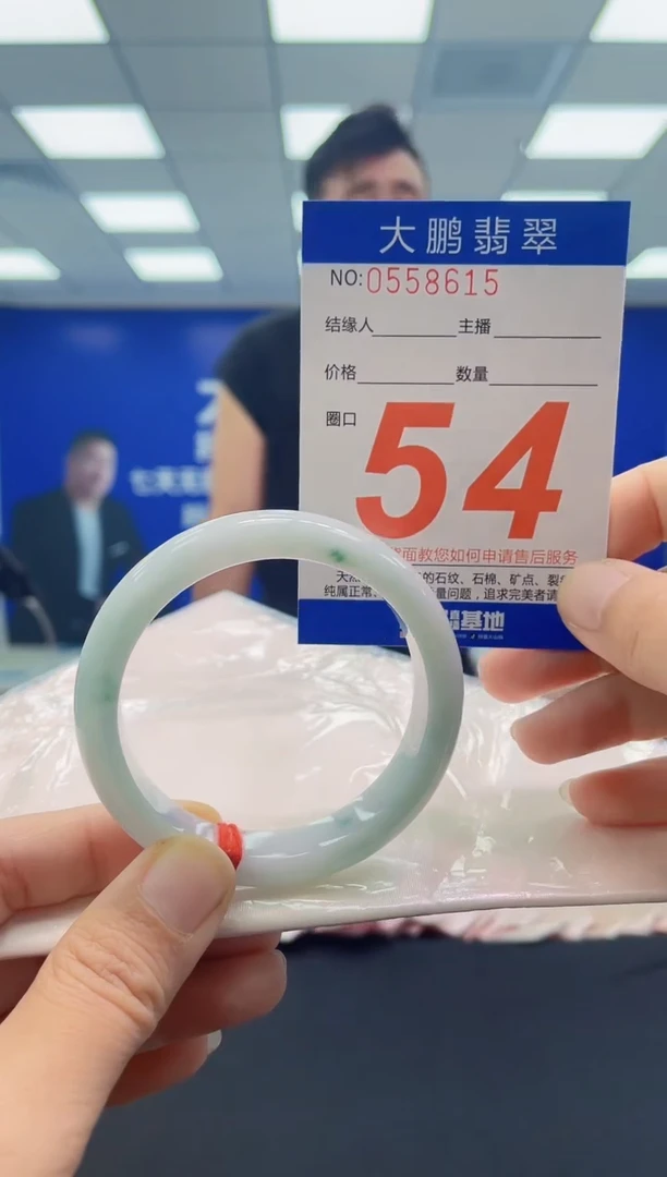 未镶嵌手镯翡翠AAAAAAAAAA