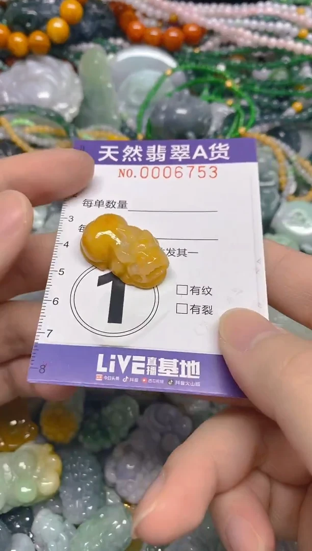 颈饰未镶嵌翡翠0006753