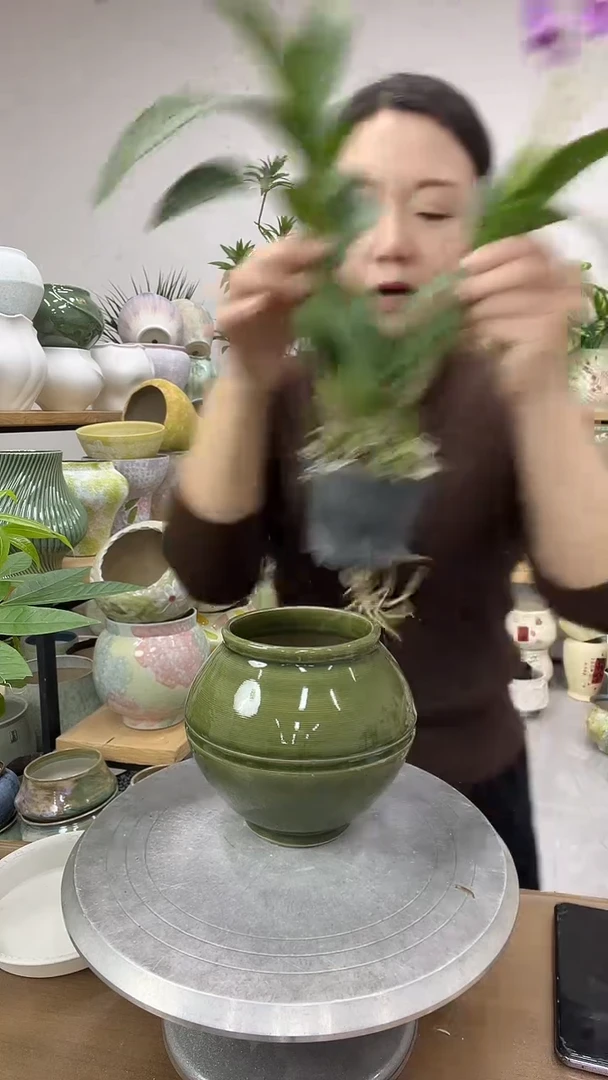 [11.1]直播链接  口径  10.5  高度   14.5