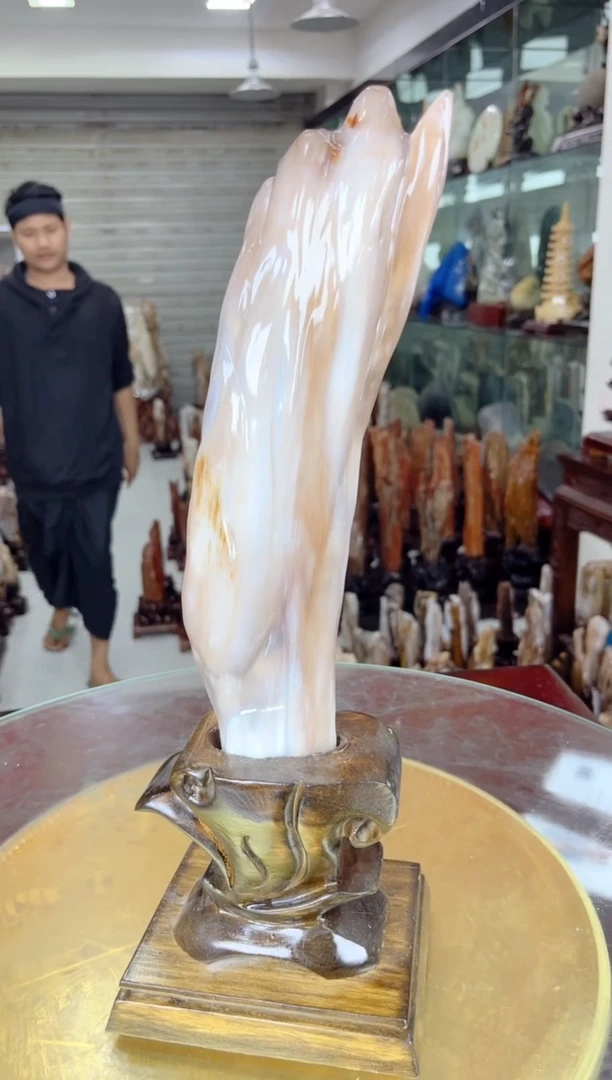 【闪购商品】硅化玉珠宝奇石未镶嵌缅甸天然树化玉