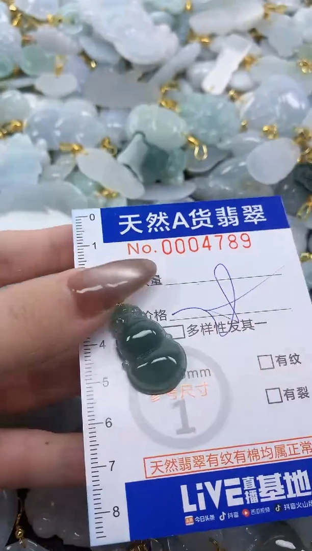 翡翠未镶嵌颈饰天然A货翡翠