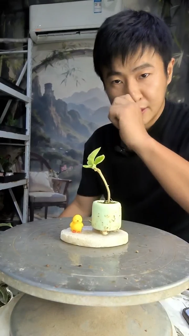 Y****️中青园艺一物一拍93