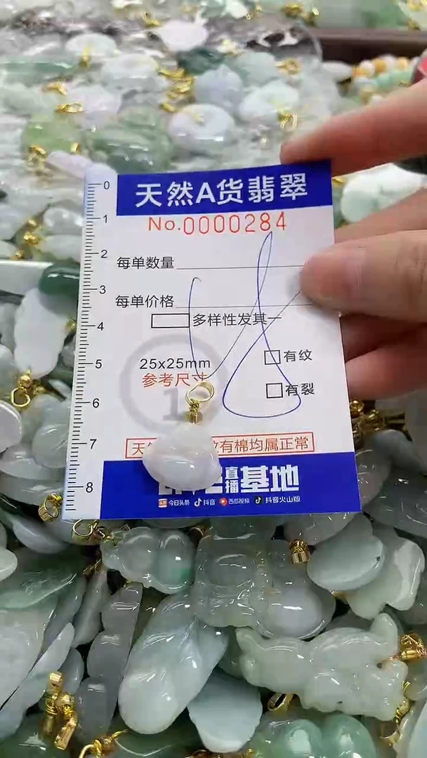 颈饰未镶嵌翡翠纯天然a货翡翠