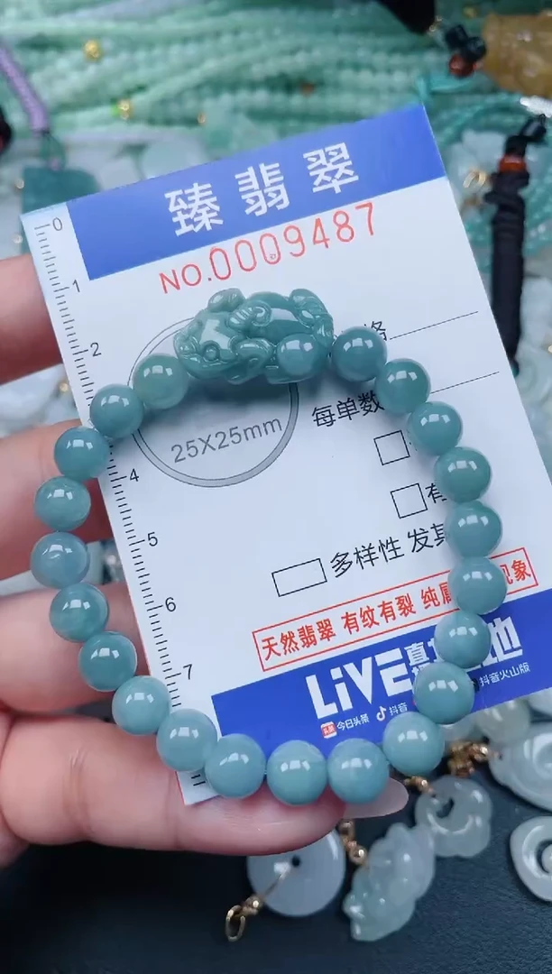 翡翠未镶嵌颈饰.0009487