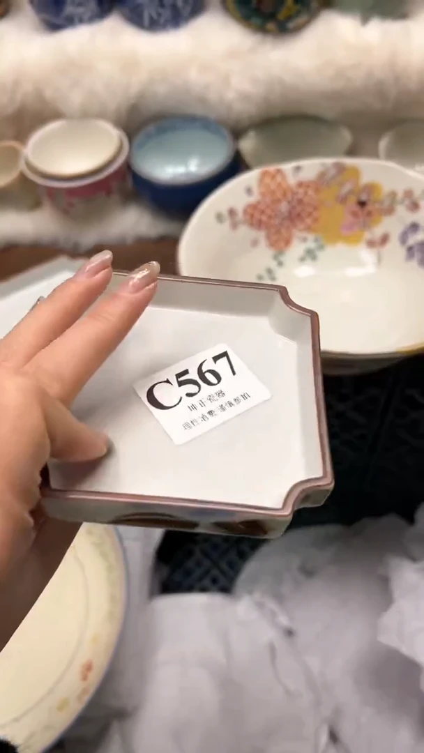 【闪购商品】瓷片          C567