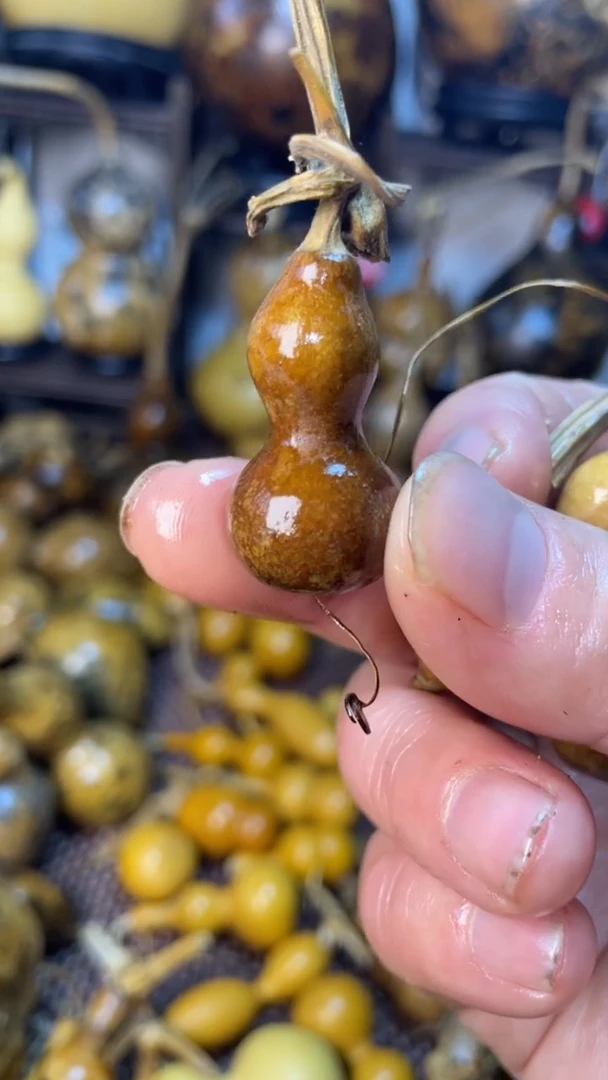 【闪购商品】葫芦葫芦葫芦葫芦