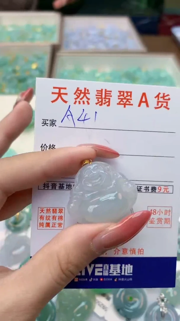 颈饰未镶嵌翡翠天然A货翡翠挂件