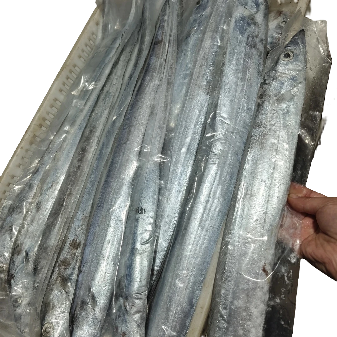 大号带鱼7-6两每条 发8条净重五斤无冰衣速冻锁鲜山东顺丰包邮
