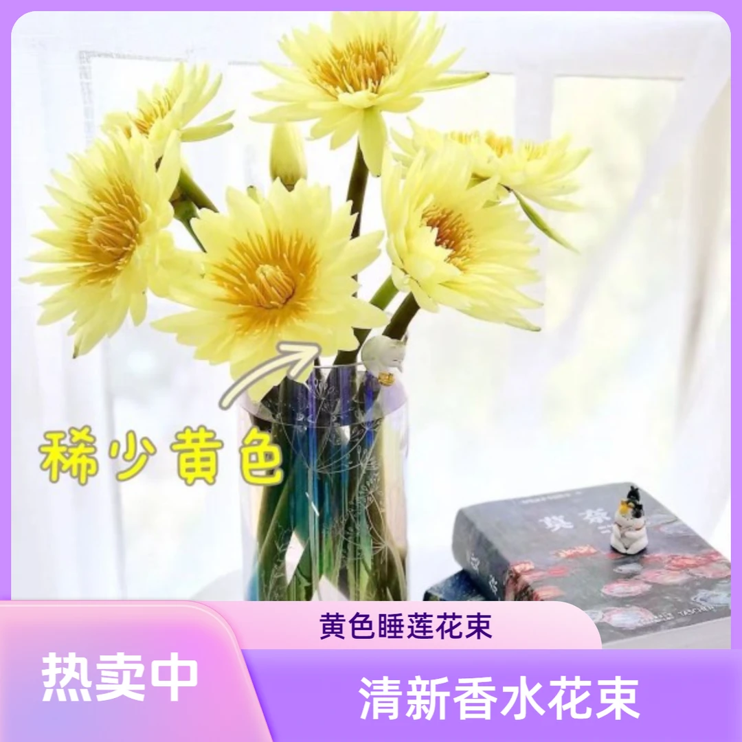 黄色睡莲鲜花香水花束-广州基地直发(养护请参考教程)