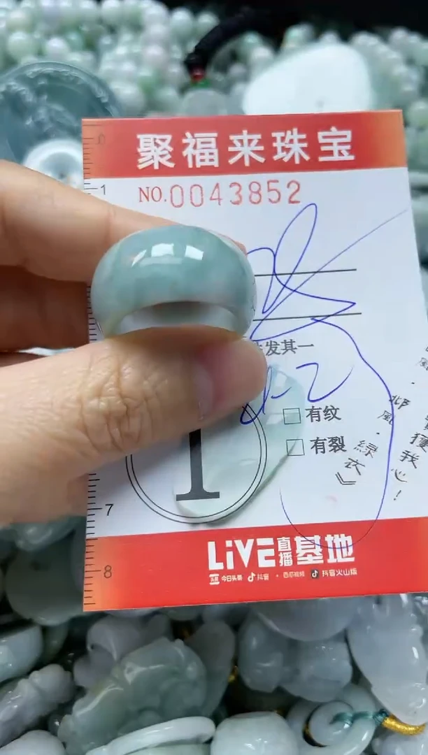 【闪购商品】翡翠颈饰未镶嵌闪购0043852