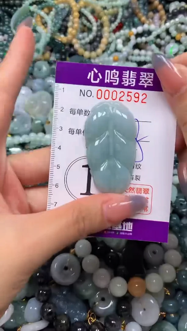 颈饰未镶嵌翡翠闪购002592